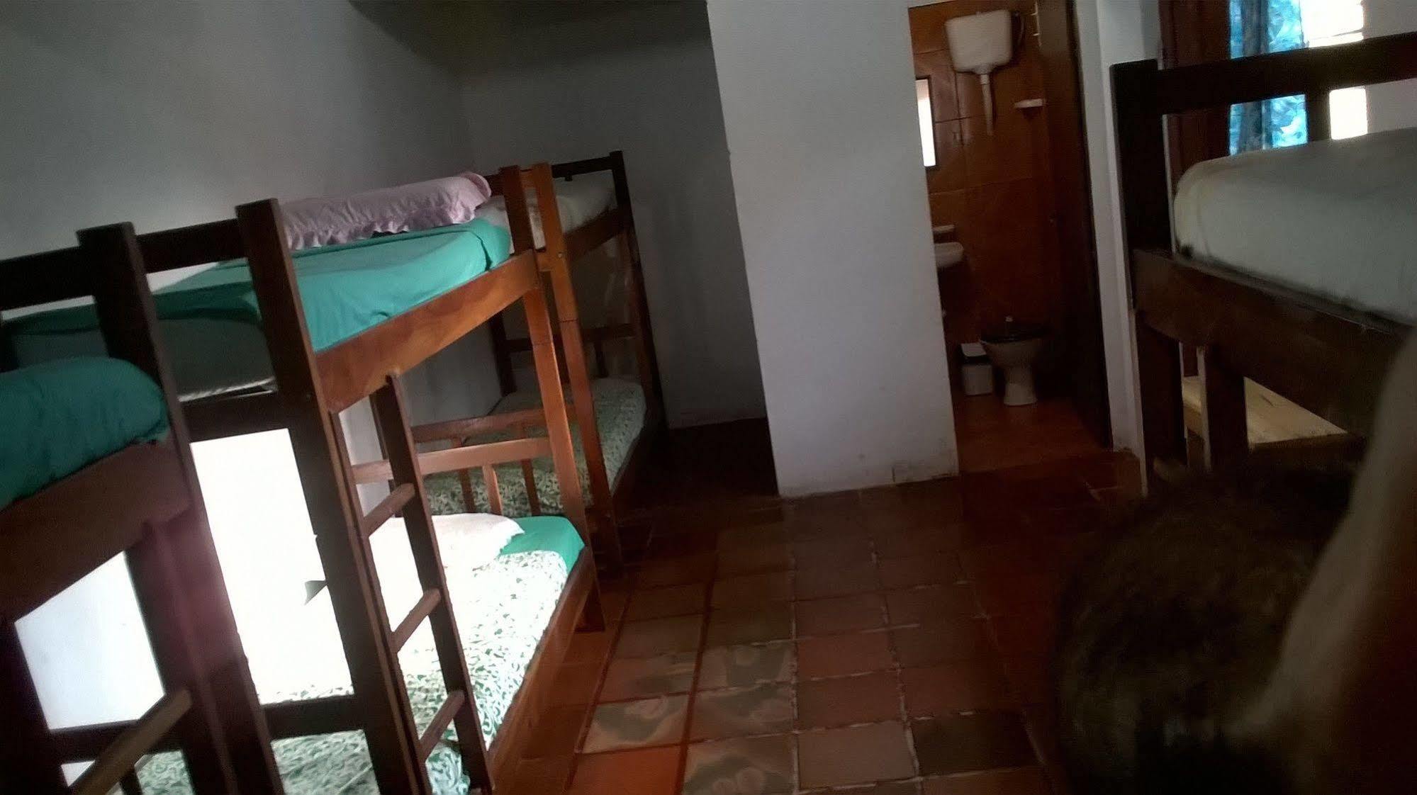Iguazu Rey Hostelプエルト・イグアス エクステリア 写真